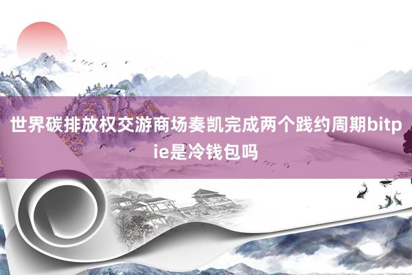 世界碳排放权交游商场奏凯完成两个践约周期bitpie是冷钱包吗