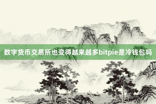 数字货币交易所也变得越来越多bitpie是冷钱包吗