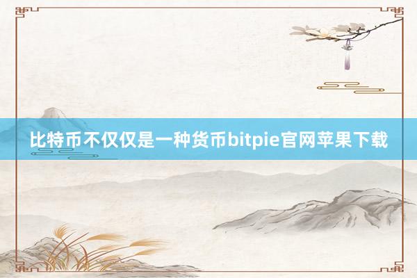 比特币不仅仅是一种货币bitpie官网苹果下载