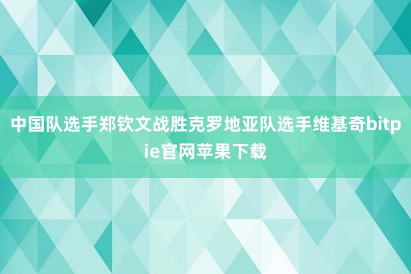 中国队选手郑钦文战胜克罗地亚队选手维基奇bitpie官网苹果下载