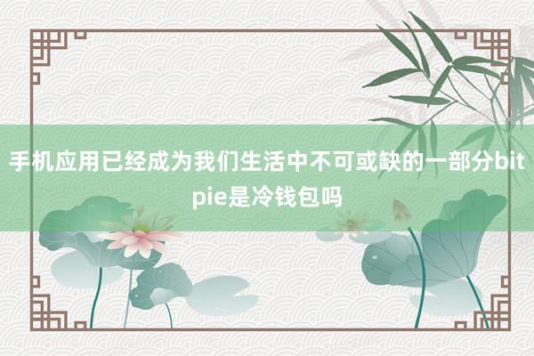 手机应用已经成为我们生活中不可或缺的一部分bitpie是冷钱包吗