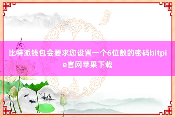 比特派钱包会要求您设置一个6位数的密码bitpie官网苹果下载