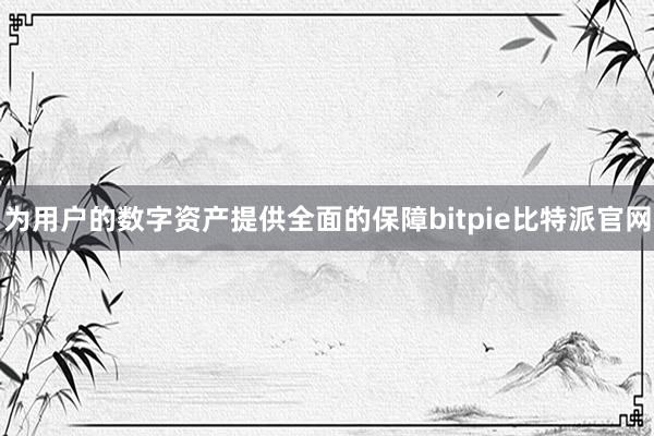 为用户的数字资产提供全面的保障bitpie比特派官网