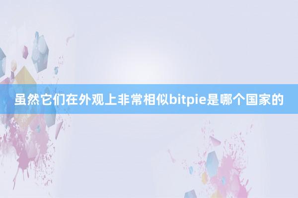 虽然它们在外观上非常相似bitpie是哪个国家的