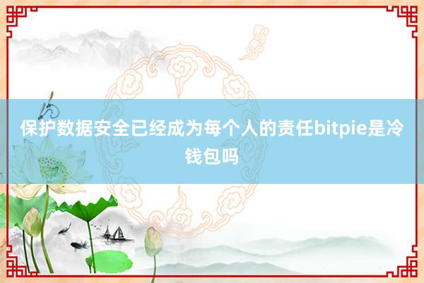 保护数据安全已经成为每个人的责任bitpie是冷钱包吗