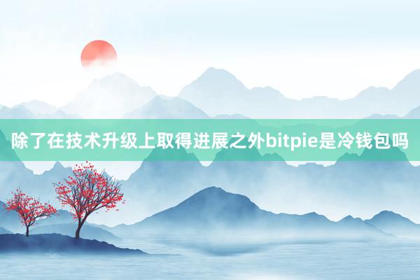 除了在技术升级上取得进展之外bitpie是冷钱包吗