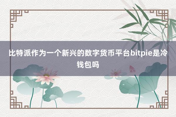 比特派作为一个新兴的数字货币平台bitpie是冷钱包吗