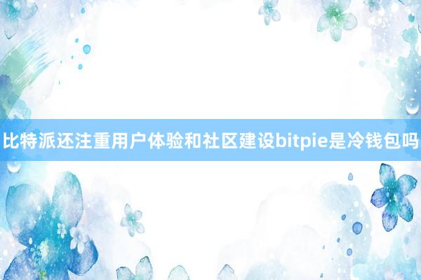 比特派还注重用户体验和社区建设bitpie是冷钱包吗