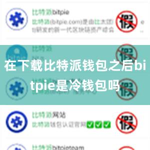 在下载比特派钱包之后bitpie是冷钱包吗