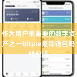 作为用户最重要的数字资产之一bitpie是冷钱包吗