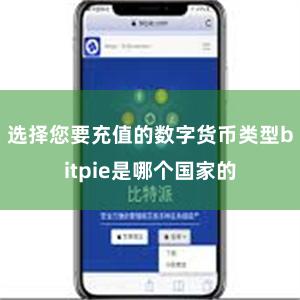 选择您要充值的数字货币类型bitpie是哪个国家的