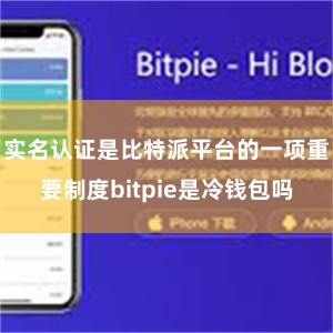 实名认证是比特派平台的一项重要制度bitpie是冷钱包吗